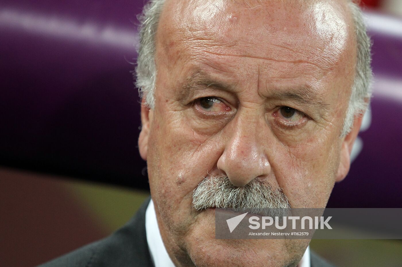 UEFA Football Euro 2012. Spain vs. France