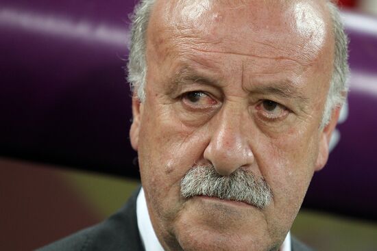 UEFA Football Euro 2012. Spain vs. France