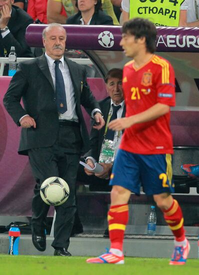 UEFA Football Euro 2012. Spain vs. France