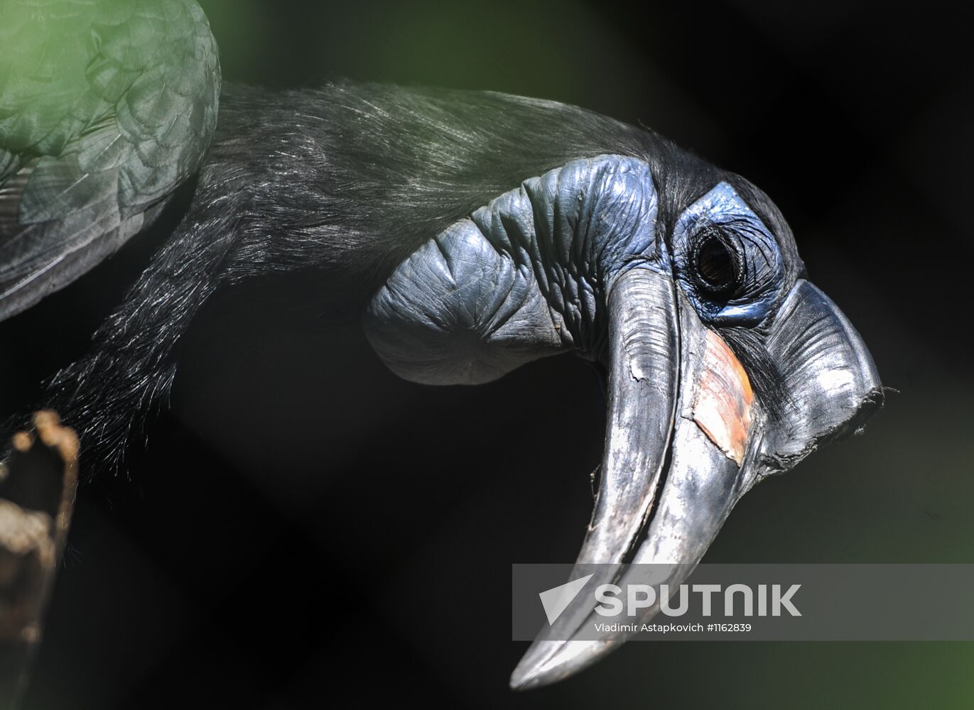 Kaliningrad Zoo