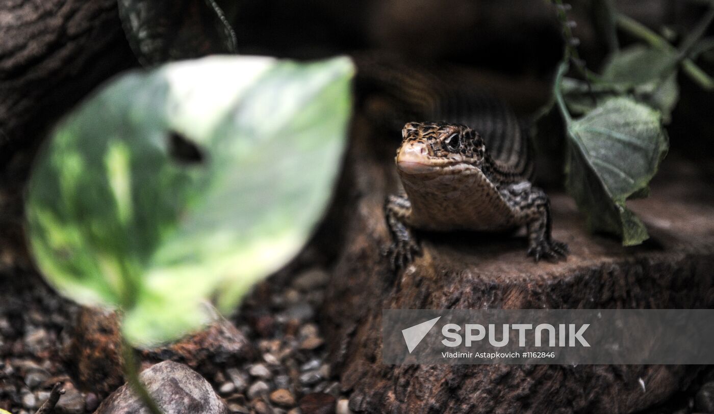 Kaliningrad Zoo
