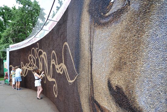 Largest coffee bean mosaic in Gorky Park