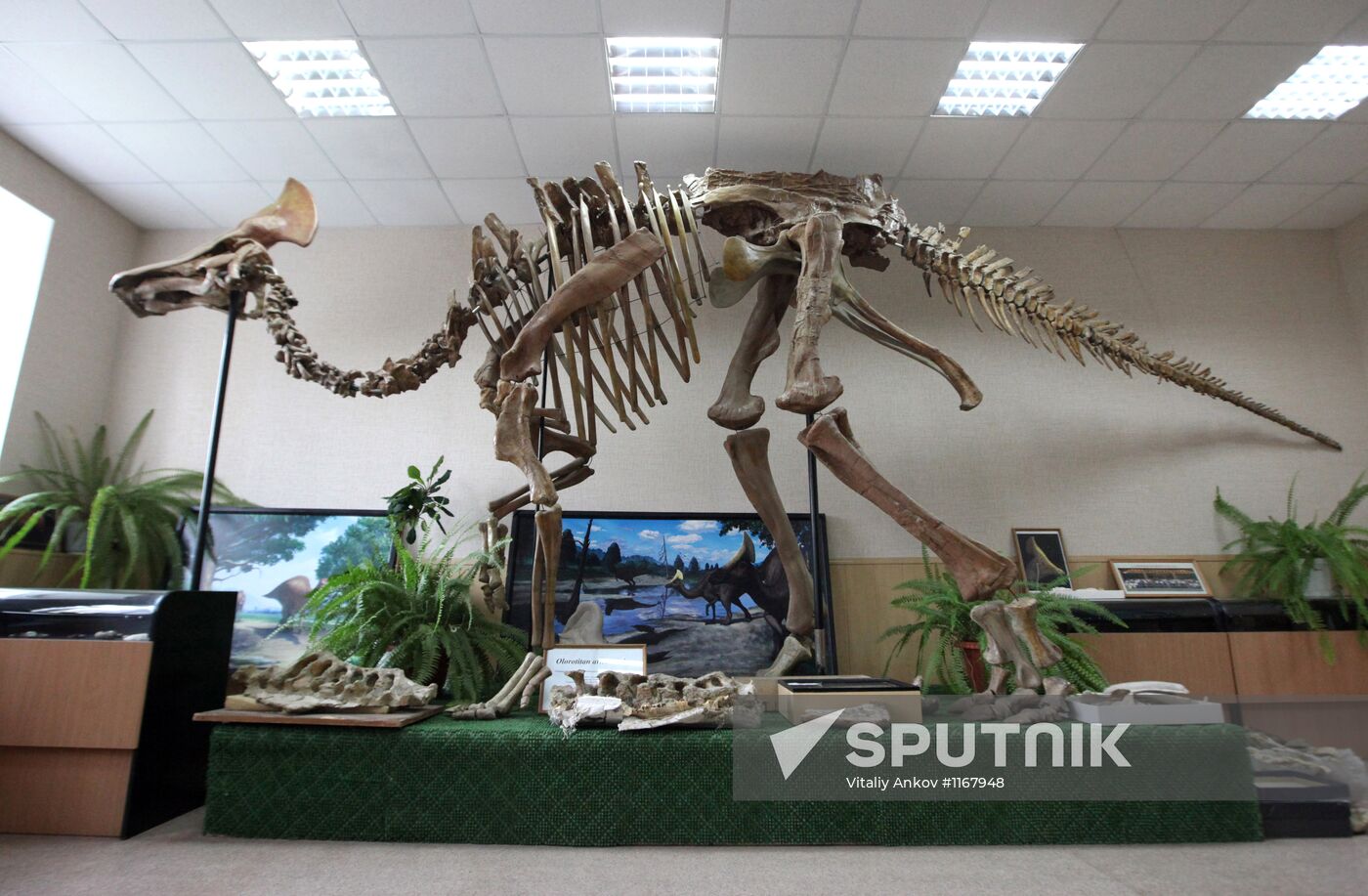Archaeological excavation in Blagoveshchensk