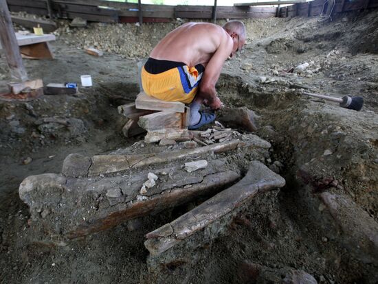Archeological excavation in Blagoveshchensk
