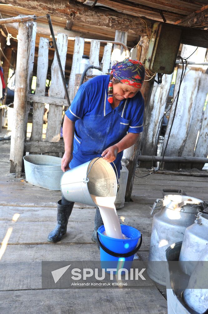 Tashkinovo dairy farm