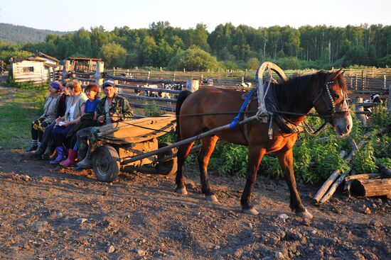 Work of Tashkinovo dairy farm