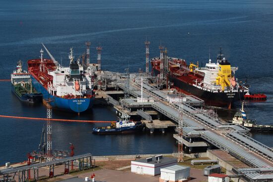 Work of Vysotsk-Lukoil-II distribution and transshipment complex