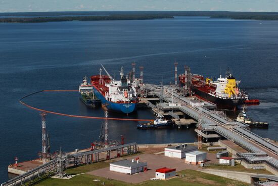Work of Vysotsk-Lukoil-II distribution and transshipment complex