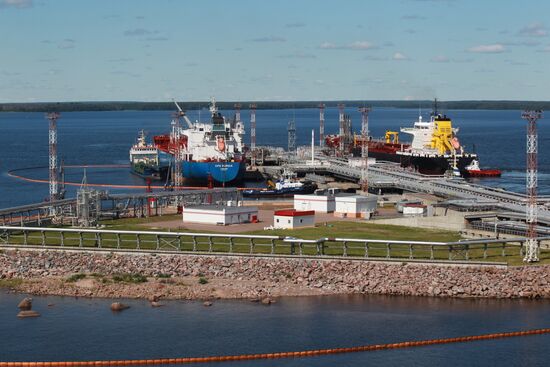 Work of Vysotsk-Lukoil-II distribution and transshipment complex