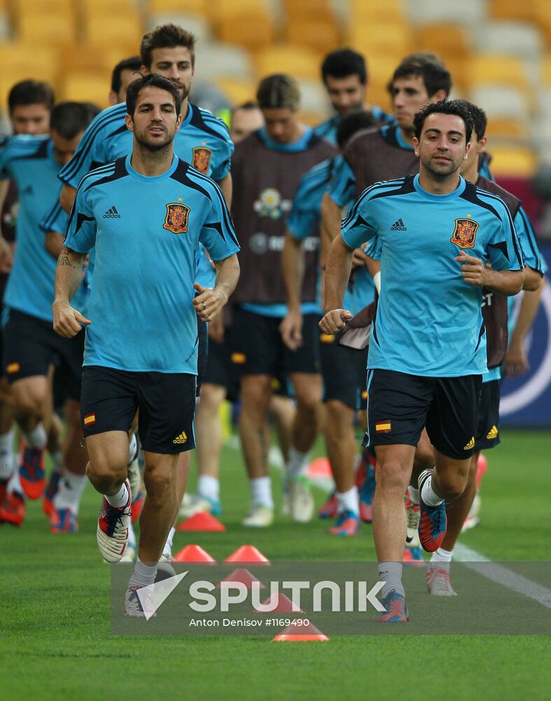 UEFA Euro 2012. Training of Italian and Spanish teams