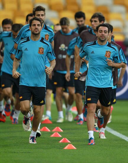 UEFA Euro 2012. Training of Italian and Spanish teams