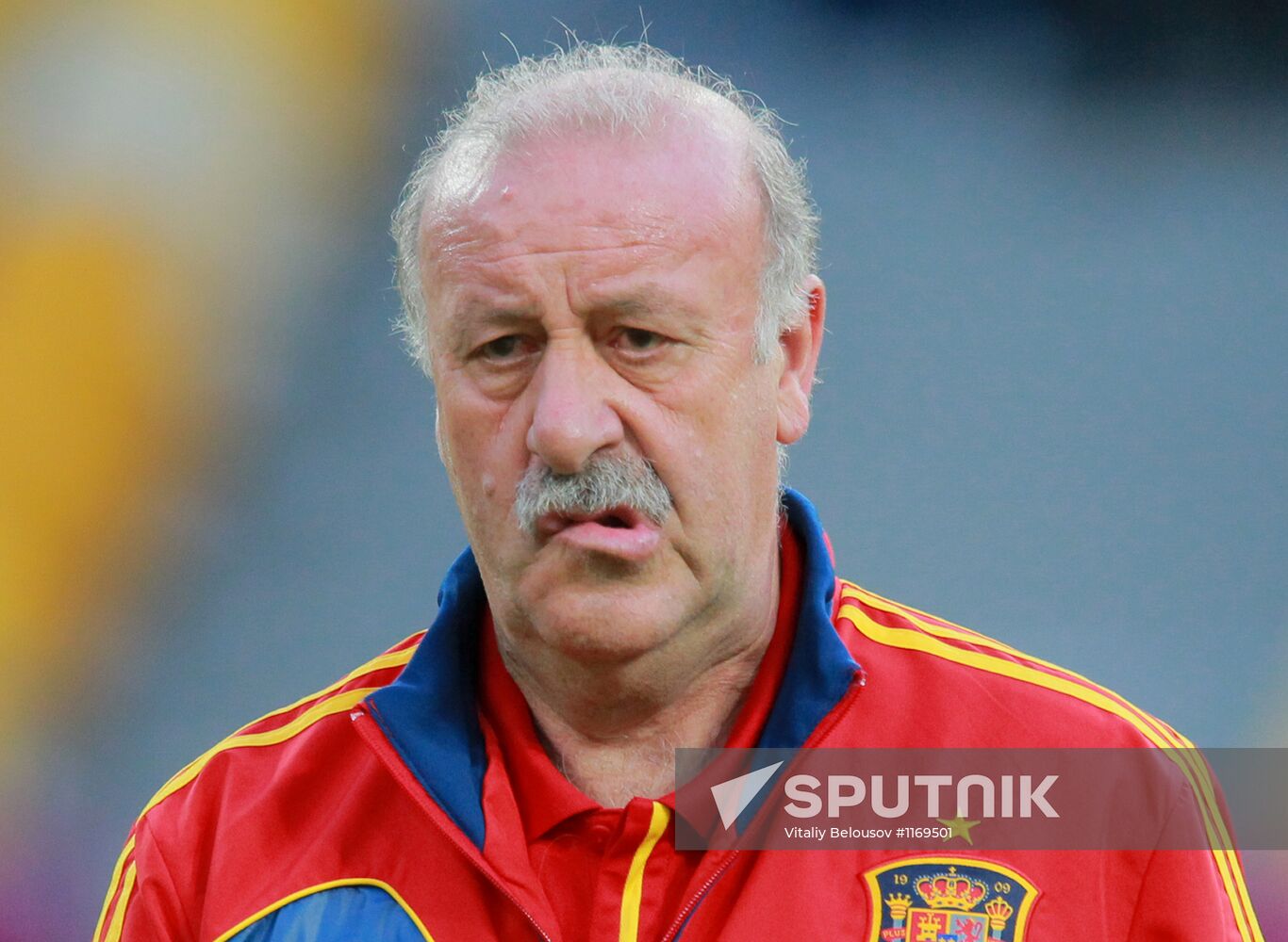 UEFA Euro 2012. Training of Italian and Spanish teams