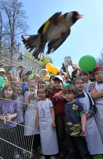 Releasing a bird