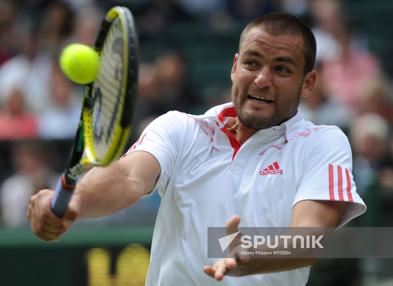 2012 Wimbledon Championships. Day Ten