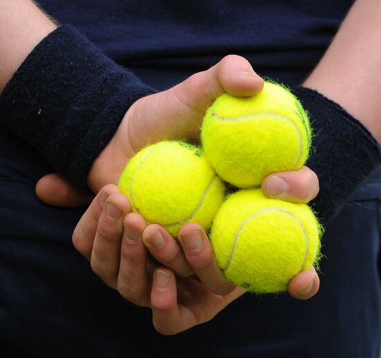 2012 Wimbledon Championships. Day Twelve