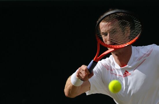 Tennis Wimbledon 2012. Day 12