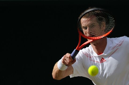 Tennis Wimbledon 2012. Day 12