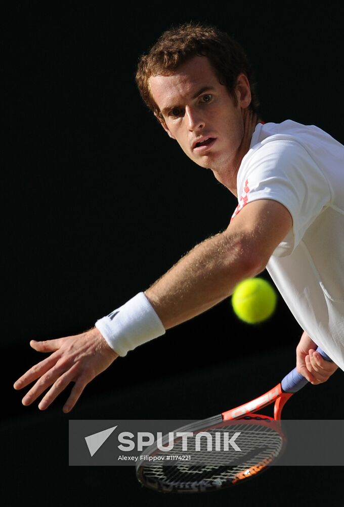 Tennis Wimbledon 2012. Day 12