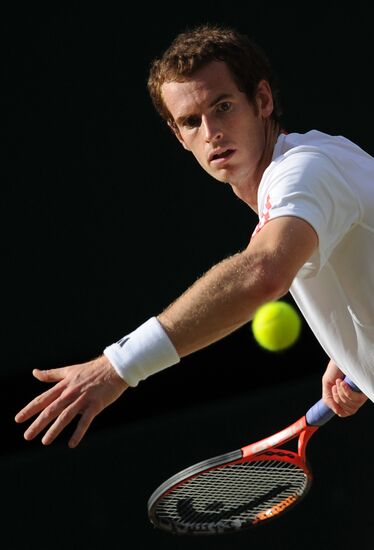 Tennis Wimbledon 2012. Day 12