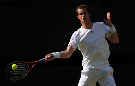 Tennis Wimbledon 2012. Day 12