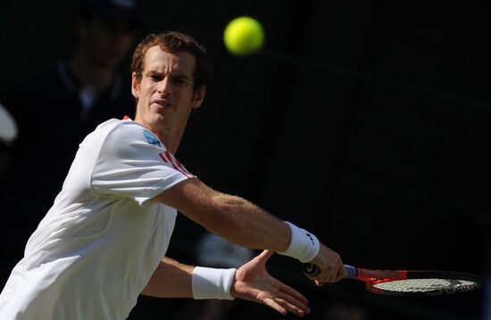 Tennis Wimbledon 2012. Day 12