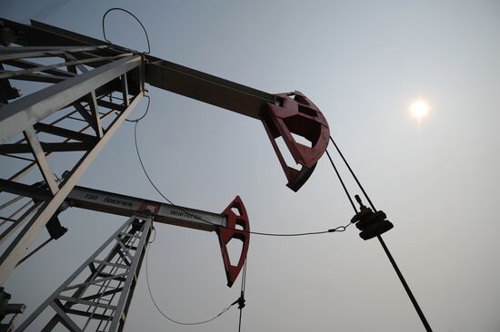 Oil production in cities of Khanty-Mansiysk Autonomous Okrug