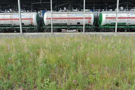Oil production in cities of Khanty-Mansiysk Autonomous Okrug