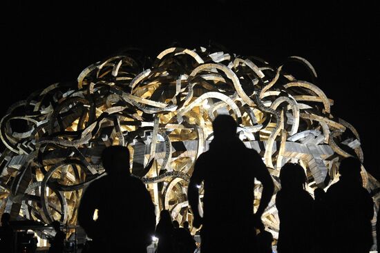 Nikolai Polissky's art project Universal Mind presentation