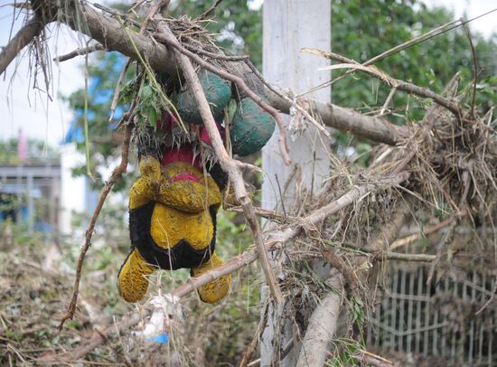 Russia's Krasnodar Region hit by disastrous floods
