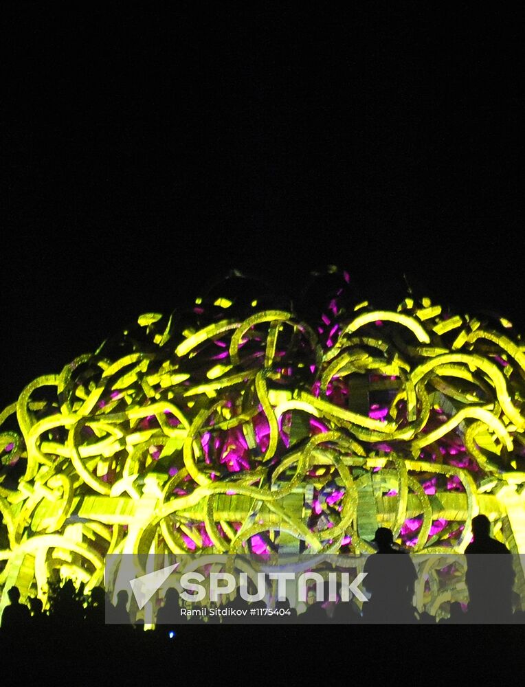 Nikolai Polissky's art project Universal Mind presentation