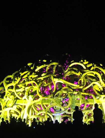 Nikolai Polissky's art project Universal Mind presentation