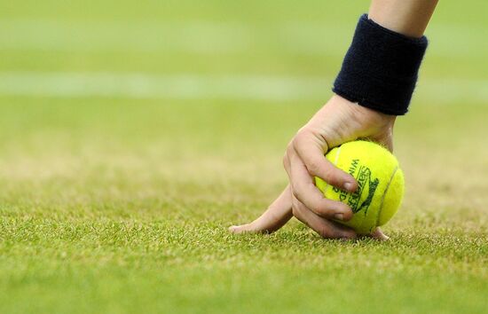 2012 Wimbledon Championships. Day 14