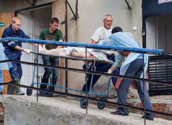 Identification of flood victims in Krymsk