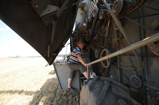 Harvesting crops in Rostov Region