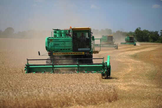 Harvesting crops in Rostov Region