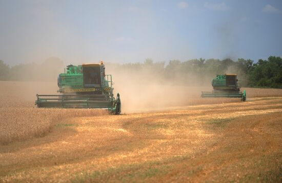 Harvesting crops in Rostov Region