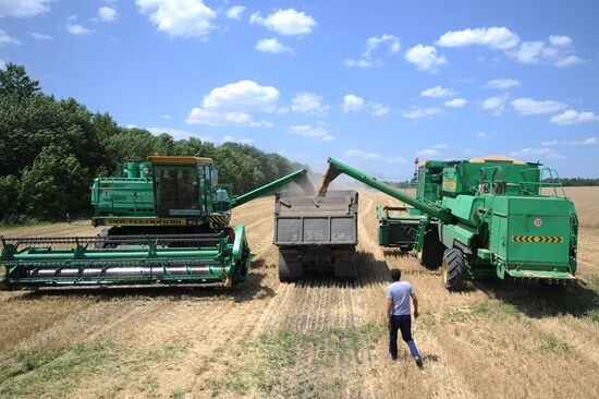 Harvesting crops in Rostov Region