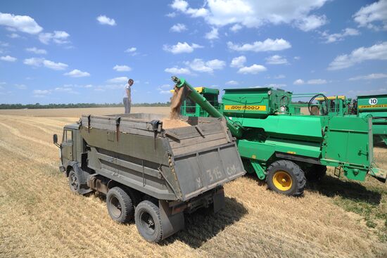 Harvesting crops in Rostov Region