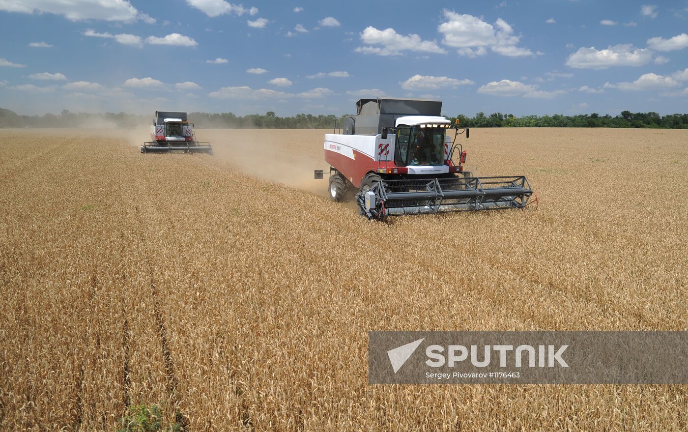 Harvesting crops in Rostov Region