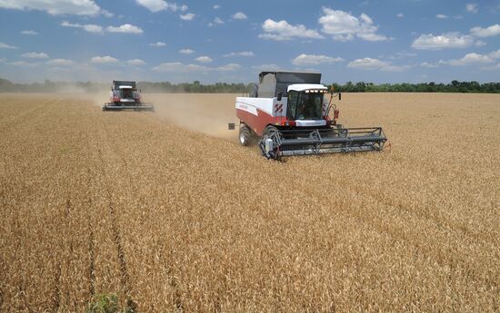 Harvesting crops in Rostov Region