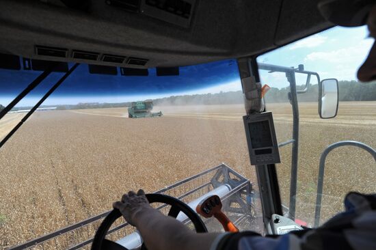 Harvesting crops in Rostov Region