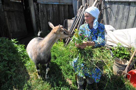 Making hay in Chelyabinsk region