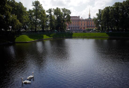 Swans in St. Petersburg's Summer Garden