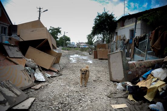 Russia's Krasnodar Region hit by disastrous floods