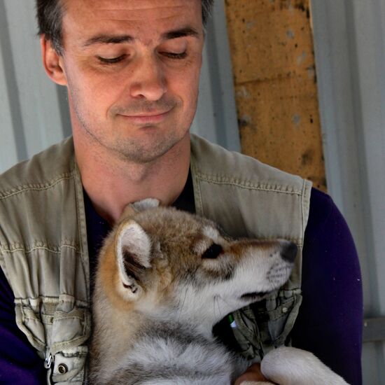 Wolf cub named Rapunzel