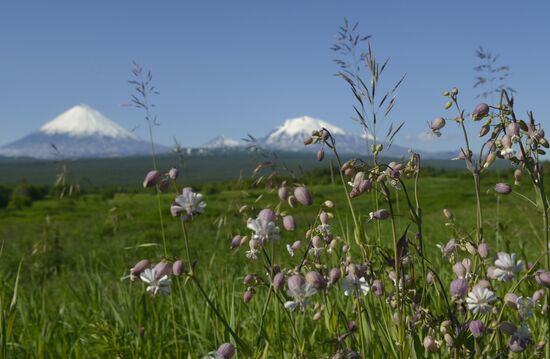 Work of volcanologists in BFTE area on Kamchatka Peninsula