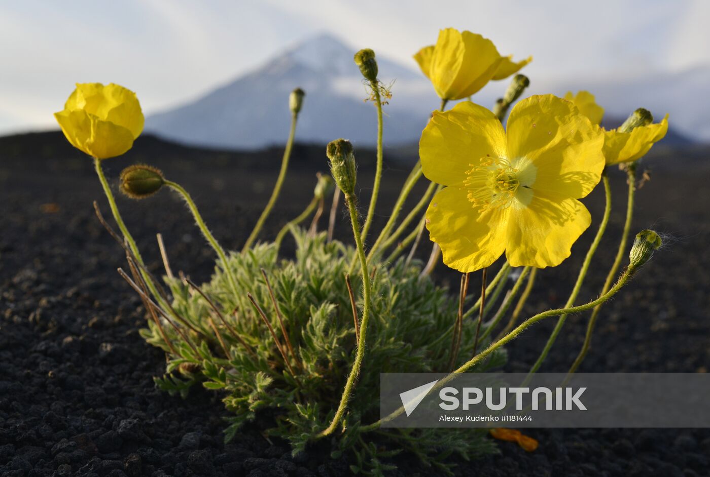 Work of volcanologists in BFTE area on Kamchatka Peninsula