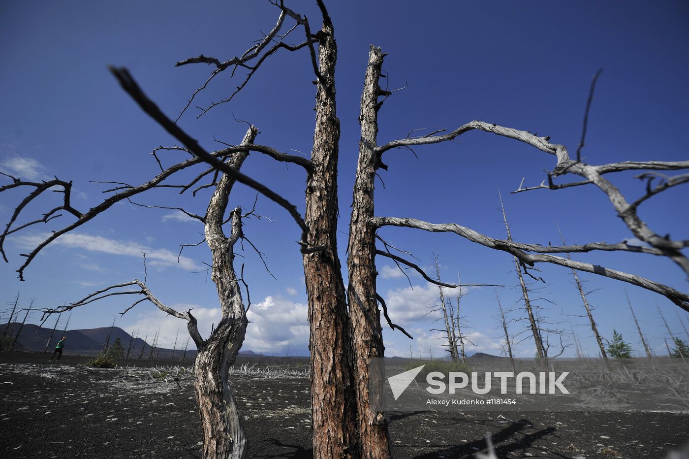 Volcanists work in GTFE area in Kamchatka
