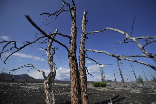 Volcanists work in GTFE area in Kamchatka