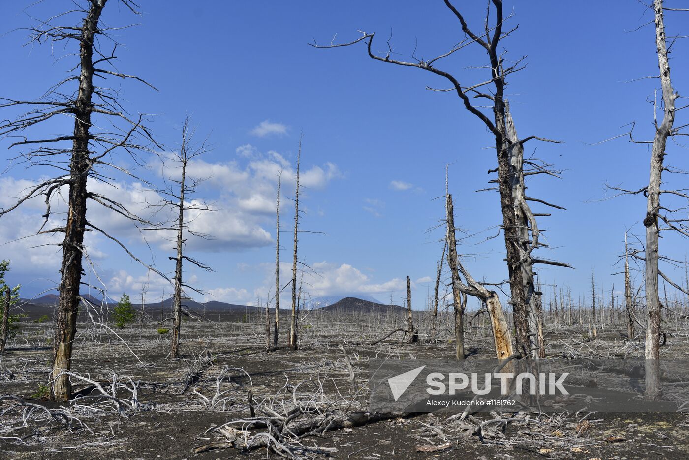 Work of volcanologists in BFTE area on Kamchatka Peninsula